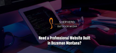 Professional Website